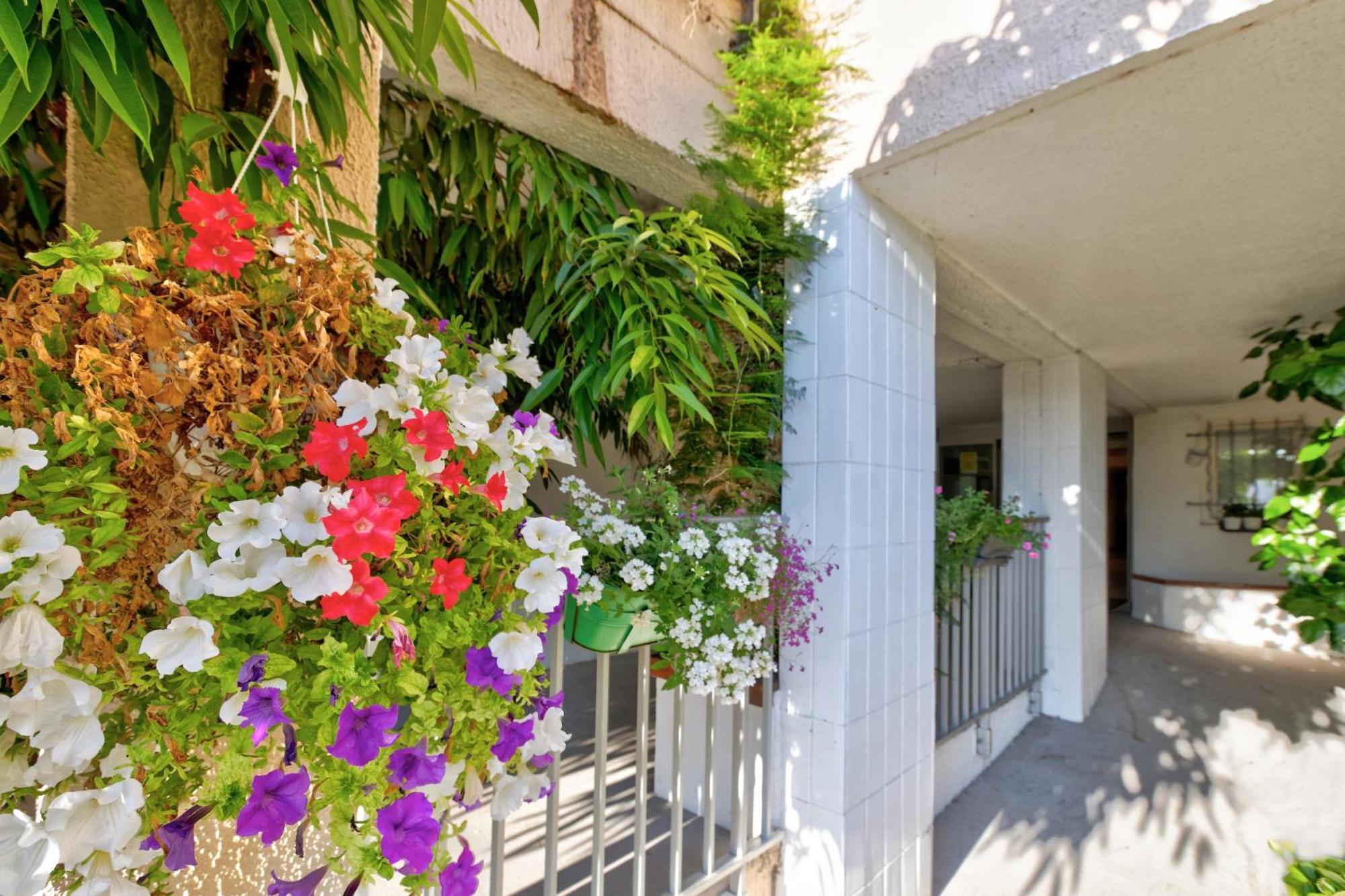 Residence Pierre & Vacances Bandol Port Esterno foto